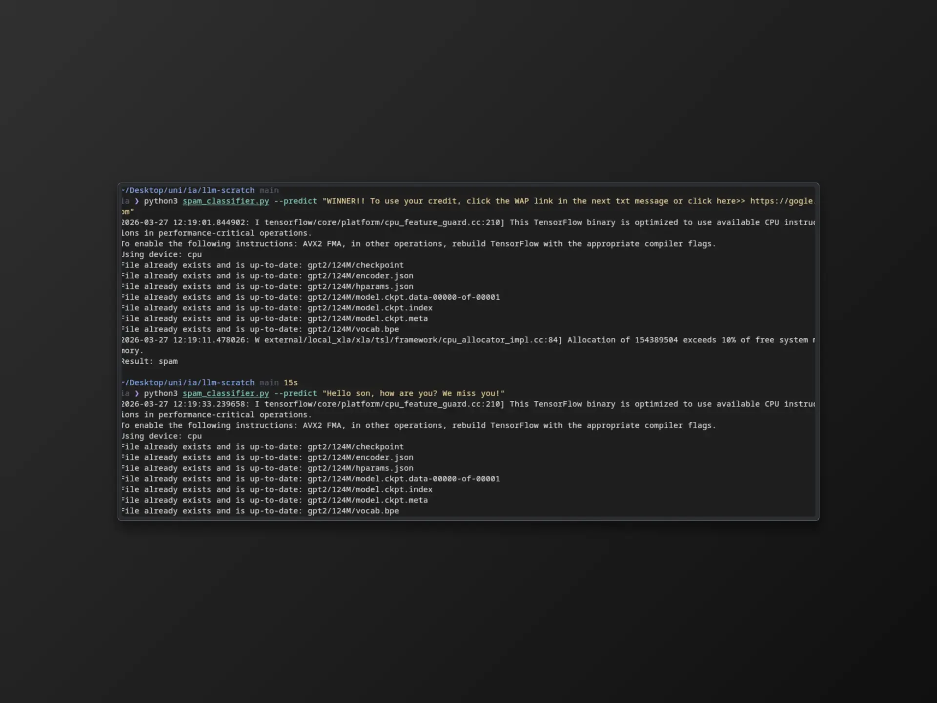 Spam Detector - LLM From Scratch